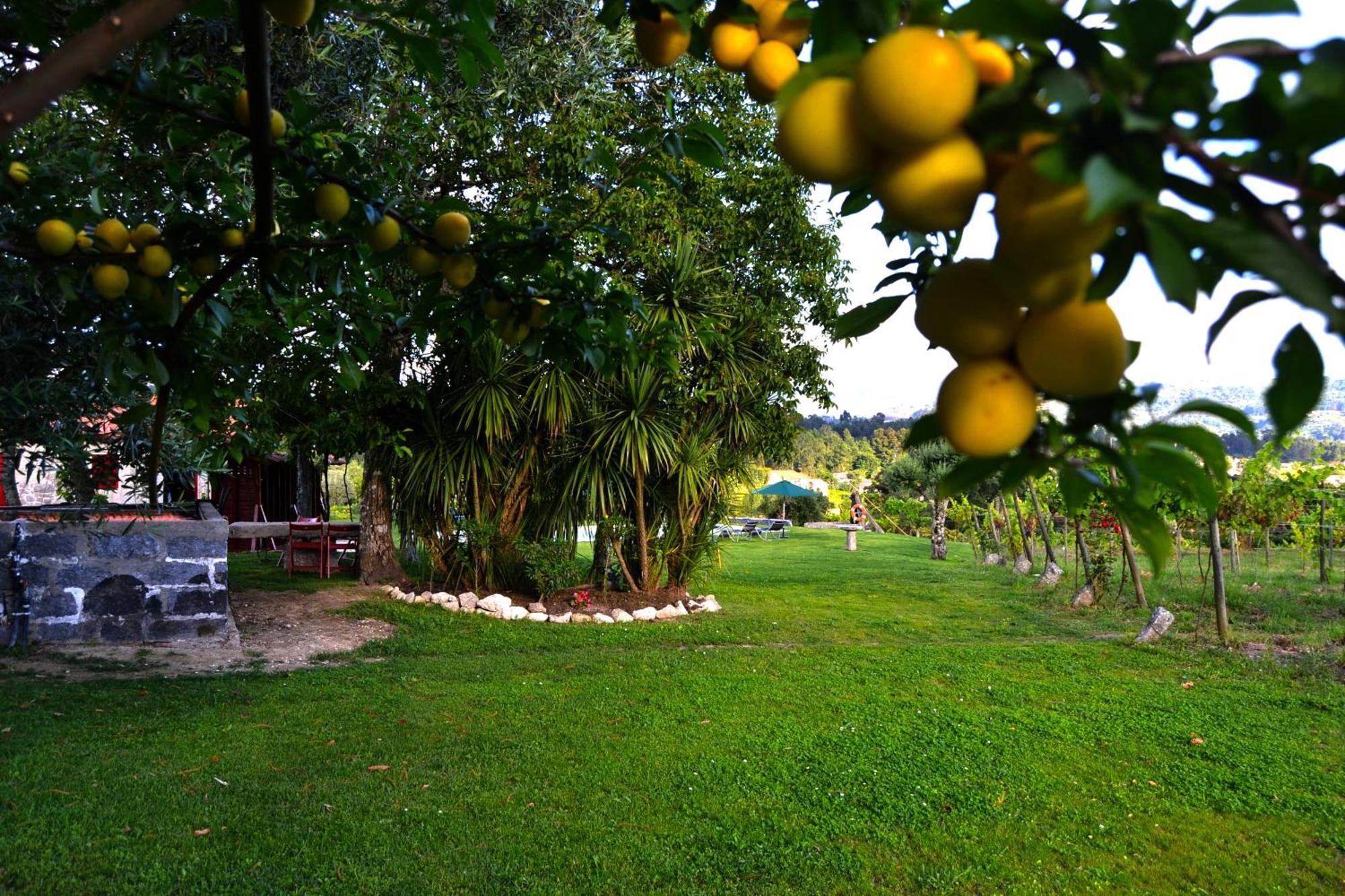 Quinta Do Olival Pension Arcos de Valdevez Buitenkant foto